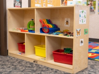 CBC Preschool Bugs Area